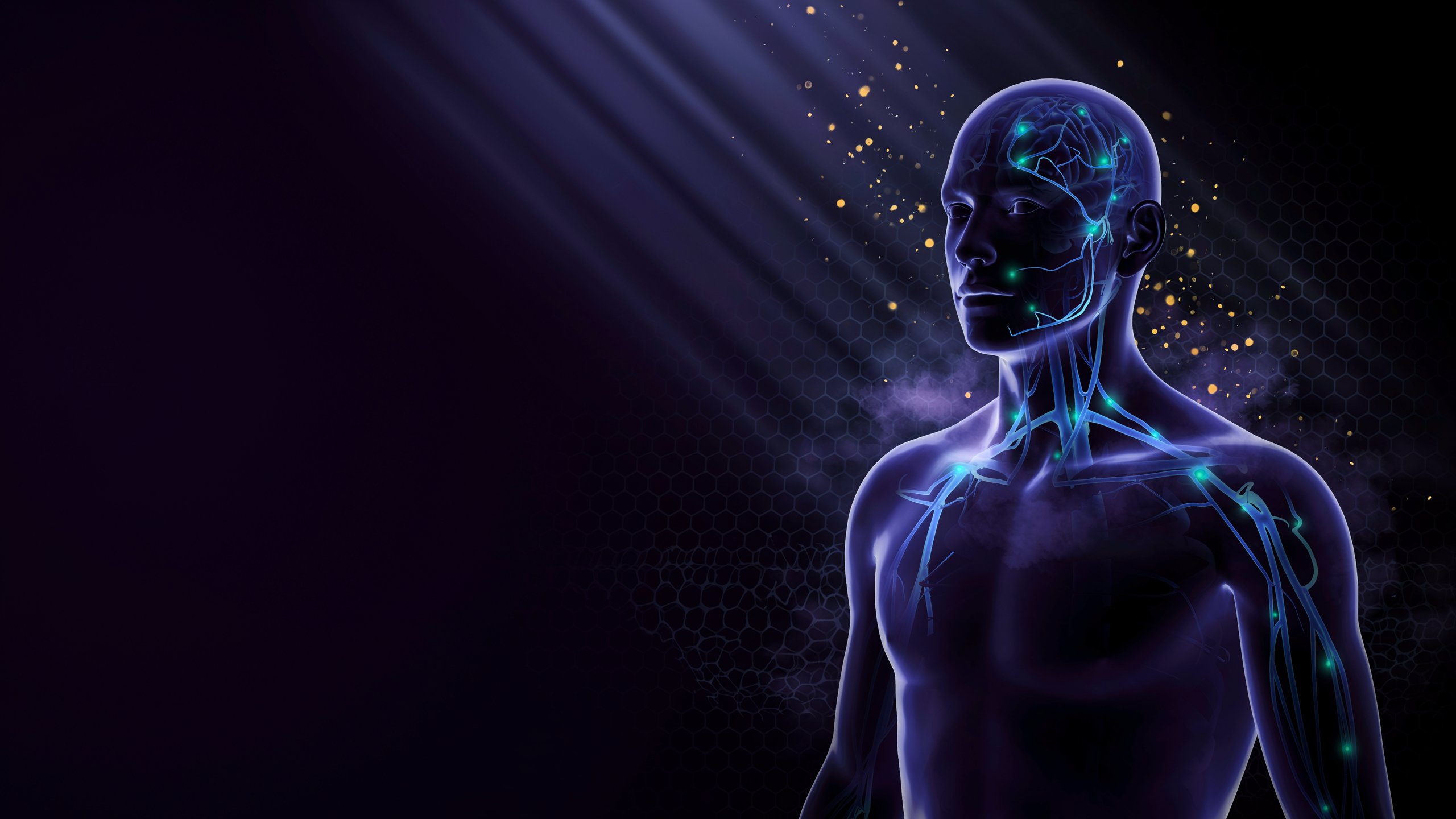 The Molecule of More Summary: How Dopamine Drives Love, Ambition, Creativity and Addiction