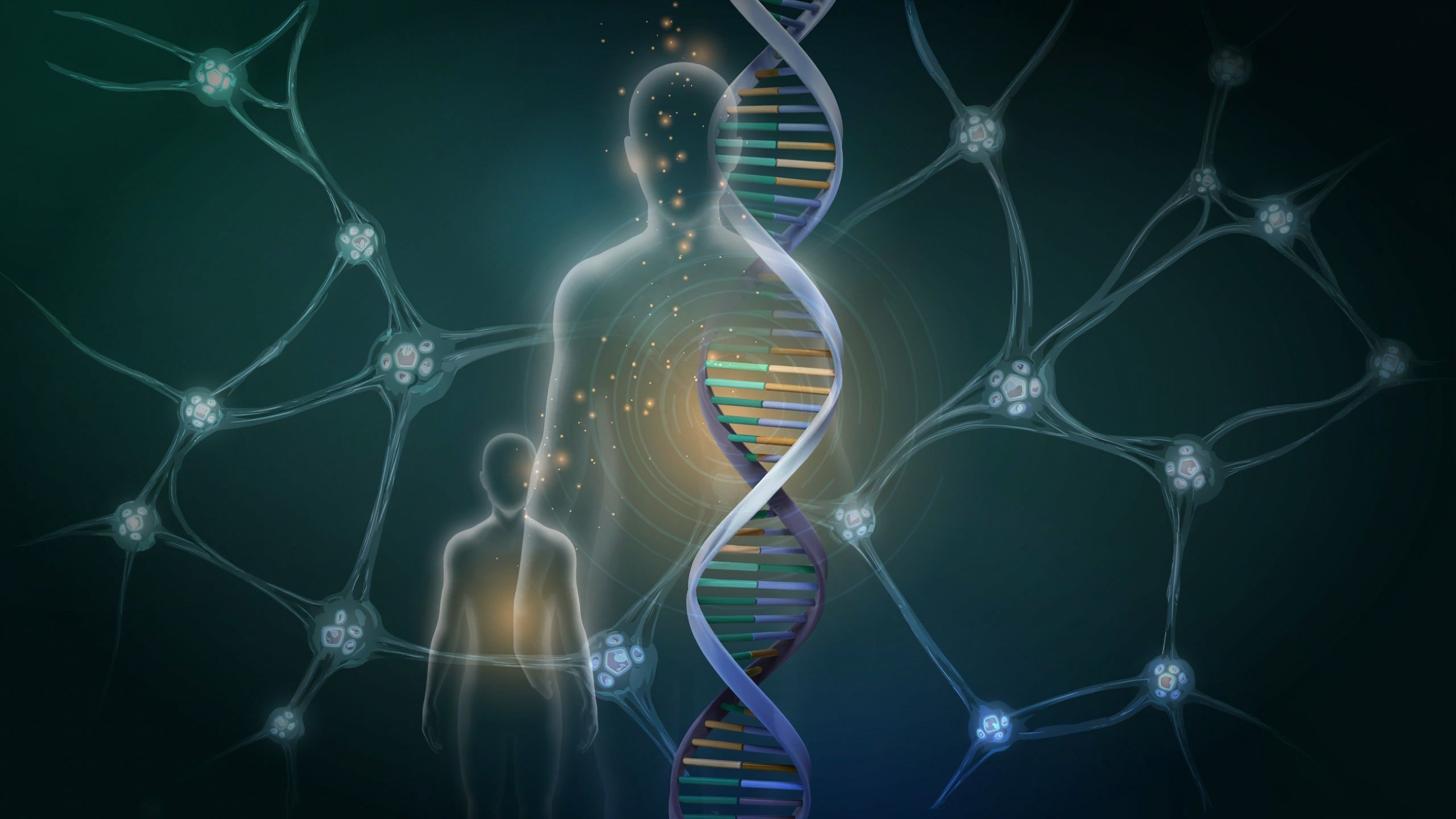 Lifespan Summary: Why We Age and Why We Don’t Have To