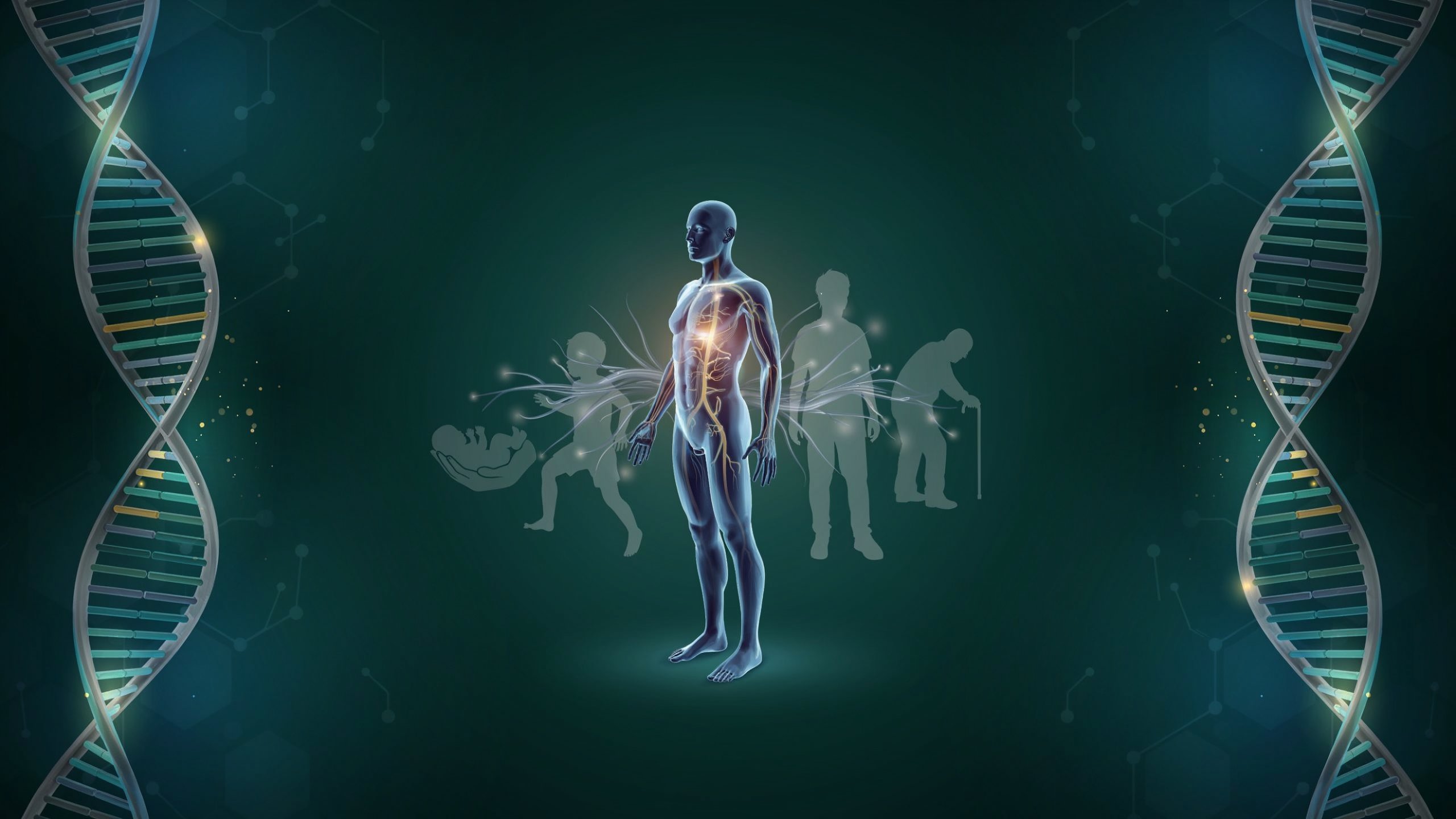 The Emperor of All Maladies Summary: A Biography of Cancer and the Quest to Defeat It